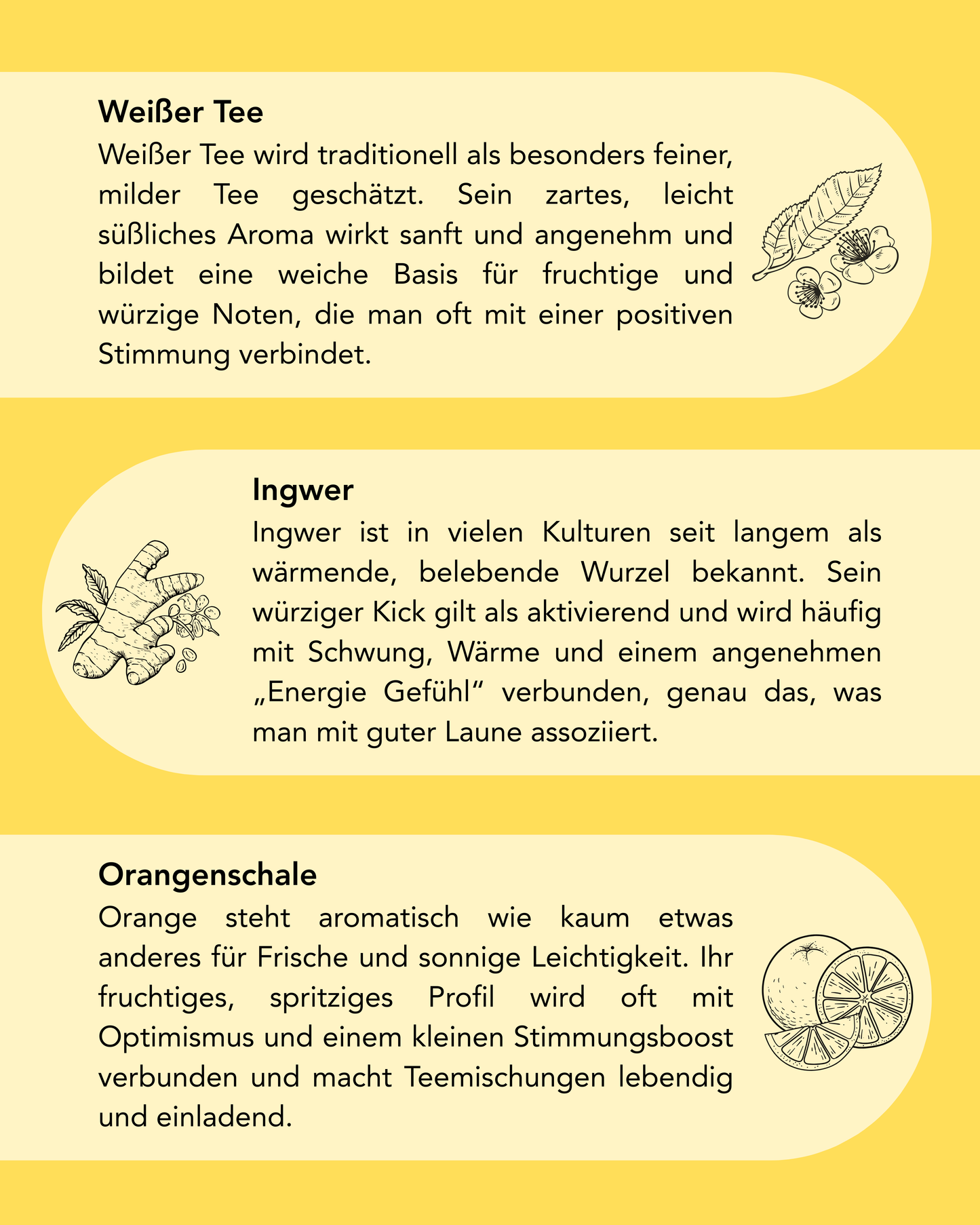 Weißer Tee - Gute Laune Ritual
