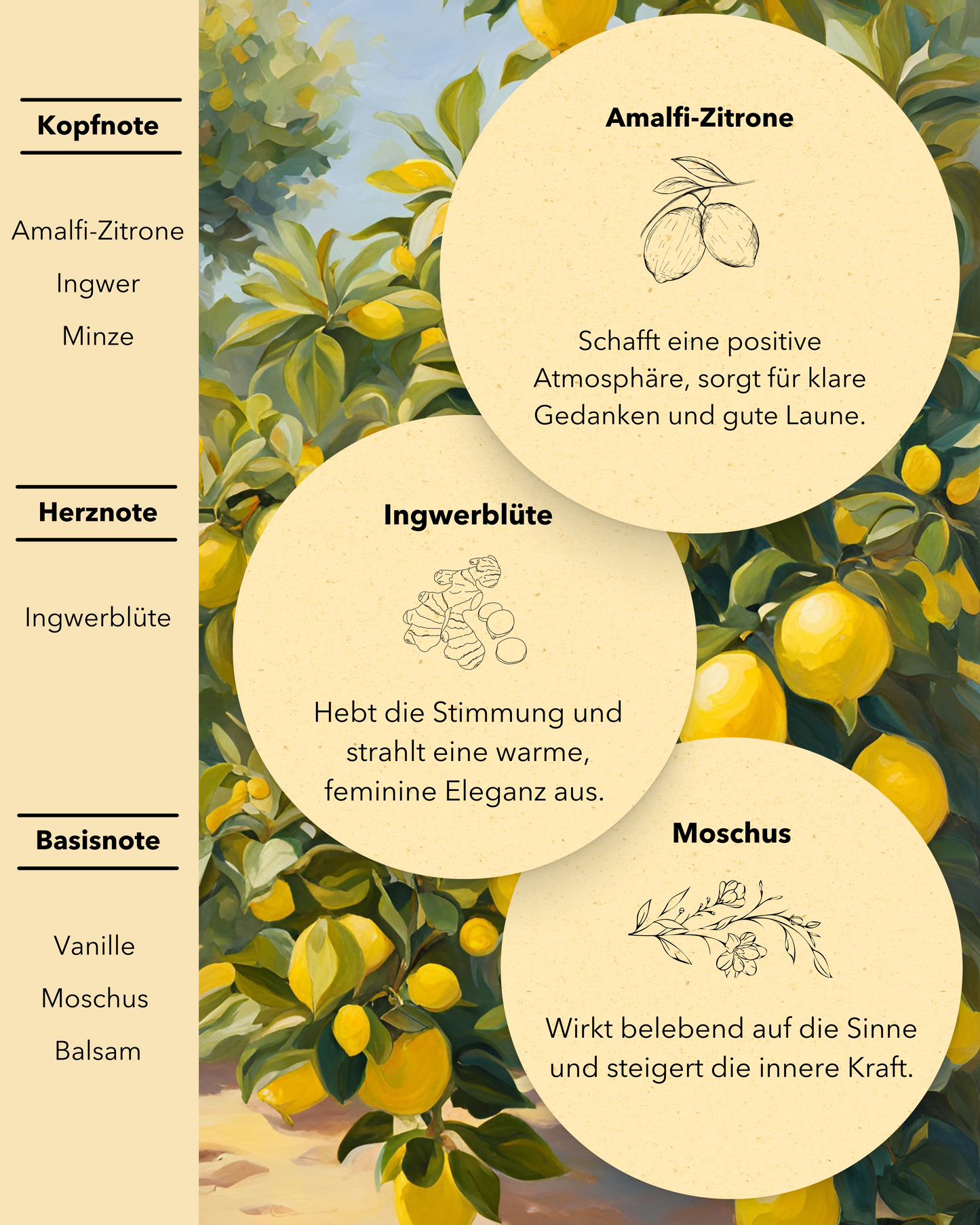 Ginger Flower 150 ml Raumduft