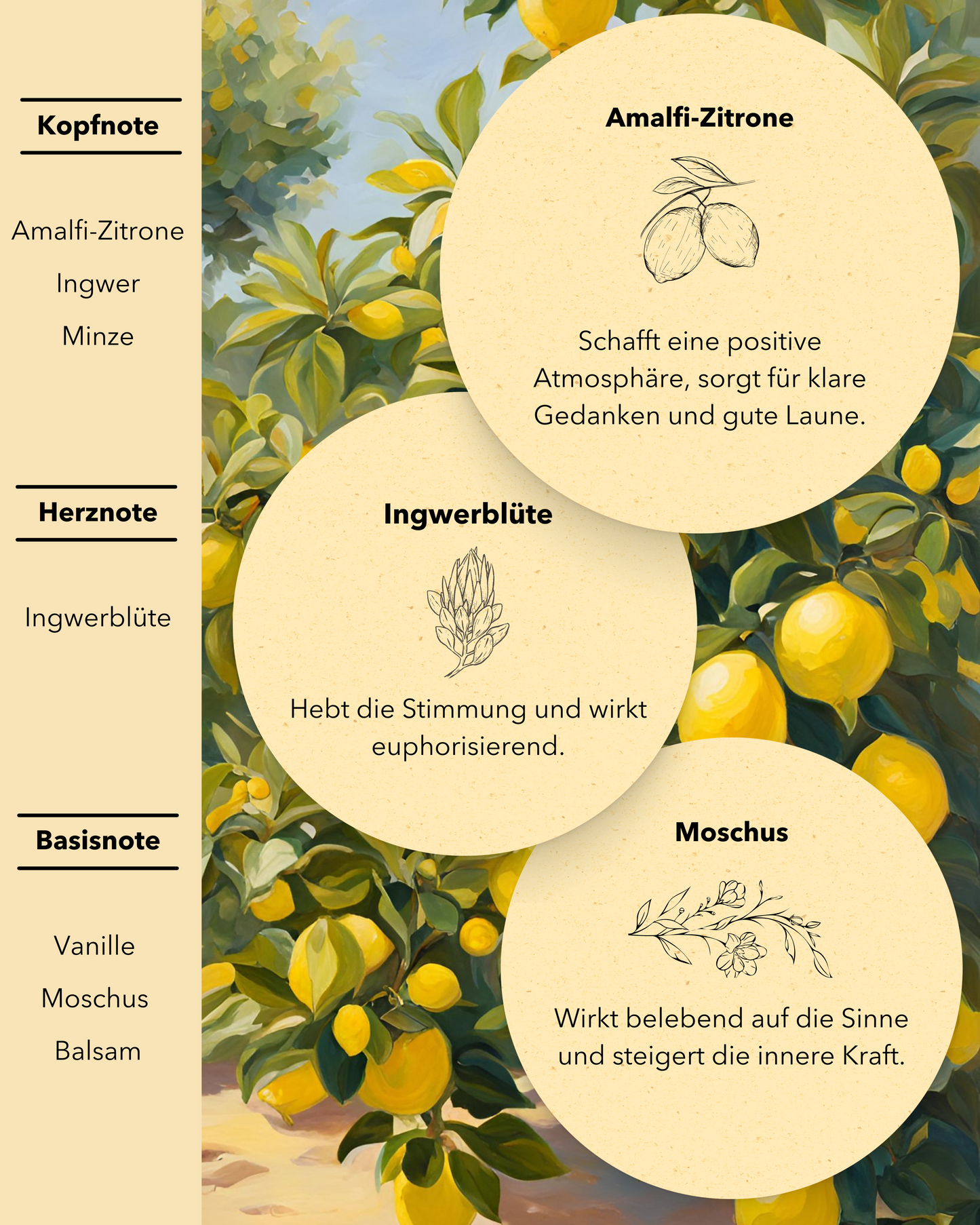 Zydonia - Raumdüfte mit Aromawirkung 150 ml