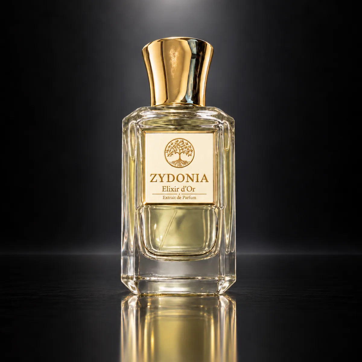 Elixir d’Or, Bild 1